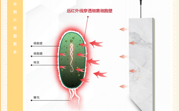 石墨烯瓷砖杀菌原理图.png